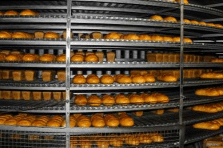 Oven Chain Lubricants