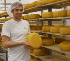 Gunn's Hill Artisan Cheese