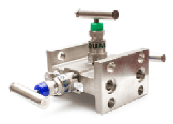 Manifold Valves